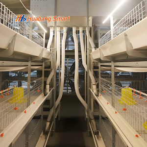 Cage à poulets de chair à prix avantageux, conception modulaire à plusieurs niveaux, cage à poulets automatique pour élevage avicole commercial à grande échelle - Product Image 4