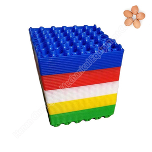 Caja de embalaje para 30 huevos Bandeja de huevos de plástico 30 huevos Pollo Codorniz Pato Bandeja de transporte de huevos - Product Image 3