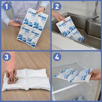 Pack de glace sèche en gel pour glacière alimentaire jetable en plastique personnalisable avec logo, feuille de congélation avec logo pour boîte à lunch