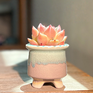 Terracotta <b>Ceramic</b> <b>Pot</b> Succulent Planter Drainage Hole Glazed Finish Eco-Friendly Durable Breathable Water Home Garden - Product Image 4