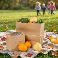 Sacs en papier kraft brun de qualité alimentaire, à fond carré, sans poignée, en gros, sur mesure, à bas prix