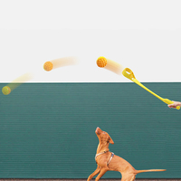 Stock de jouets d'extérieur pour animaux de compagnie, balle interactive télescopique automatique pour animaux de compagnie, jouets d'entraînement pour chiens molaires grinçants, lanceur de balles à la main