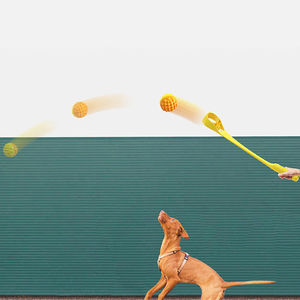 Giocattoli da esterno per animali domestici con sfera interattiva telescopica automatica per animali domestici giocattoli da addestramento molare per cani lanciatori a mano - Product Image 4