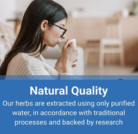 Extracto de Raíz de Astragalus Membranaceus Orgánico en Polvo, 98% de Pureza, Uso en Adultos, Apoyo Energético, Mejora de la Inmunidad, Marine Genesis