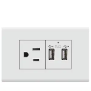 110V 120V 125V American standard economic classic Ecuador wall switch USB socket interrputor Tomacorriente factory