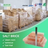 Briques de sel rose de l'Himalaya naturel de haute qualité en gros pour la construction de la salle de sueur