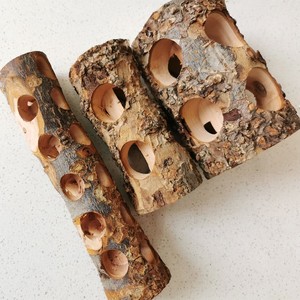 Bâton à mâcher écologique en bois de perroquet pommier molaires <span class=keywords><strong>pour</strong></span> animaux de compagnie jouets oiseau cobaye cage articles molaires de <span class=keywords><strong>lapin</strong></span> articles - Product Image 6