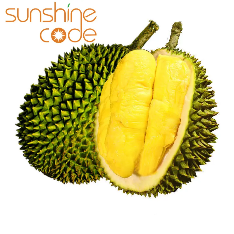 Sunshine Code fresh musang king durian maoshan wang durian supplier high quality durian