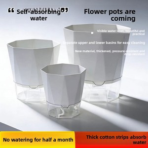 Bac en plastique de taille gallon pour plantes auto-arrosantes sans eau : Pothos, roses, orchidées de balcon et succulentes - Product Image 3
