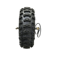 Moteur de moyeu à engrenages sans balais 14 pouces 100 Nm à faible vitesse et couple élevé, batterie au lithium, roue arrière, véhicule tout-terrain à poussée au pouce pour sable