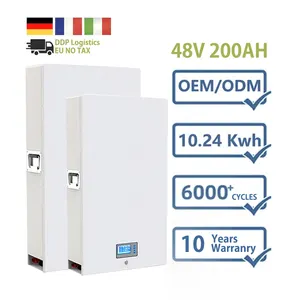 6000 Zyklen 10kW Energie speicher Batterie LiFePO4 Solar Home Power wall Batterie 48V 200Ah 10kWh Power wall