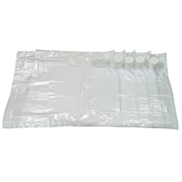 Sac Bag-in-Box transparent stérile de 10 L avec couvercle pour vin de fruits, jus, lait, liquides, sac BIB en aluminium