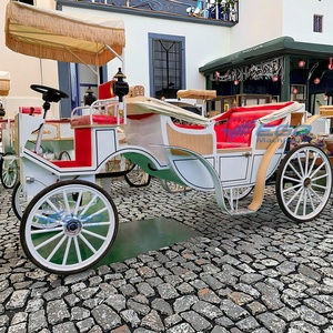 Carruaje Turístico Eléctrico de Lujo para Bodas en Victoria, Vehículos Nuevos de Henan - Product Image 1