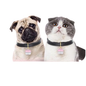 Del equipo de posicionamiento Gps sistema gato animal Perro Rastreador de collar de perro de caza GPS - Product Image 1