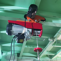 Treuil électrique de levage domestique, 220V, PA type, PA200, PA300, PA500, PA800, haute qualité