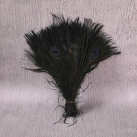 Éventail décoratif en plumes de paon colorées, idéal pour événements, scènes, costumes, carnavals et fêtes - Grande Vente