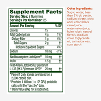 Gummies de soutien énergétique de haute qualité à marque privée, sans gluten, superaliments, prébiotiques, probiotiques, pour la digestion