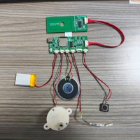 Offre Spéciale Usine : Module Lecteur MP3 Enregistrable USB Rechargeable avec NFC, Bande LED RGB et Matériau PVC