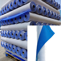 Membrane d'étanchéité hydrofuge pour toiture, pare-vapeur, bloque les liquides comme la membrane Tyvek.