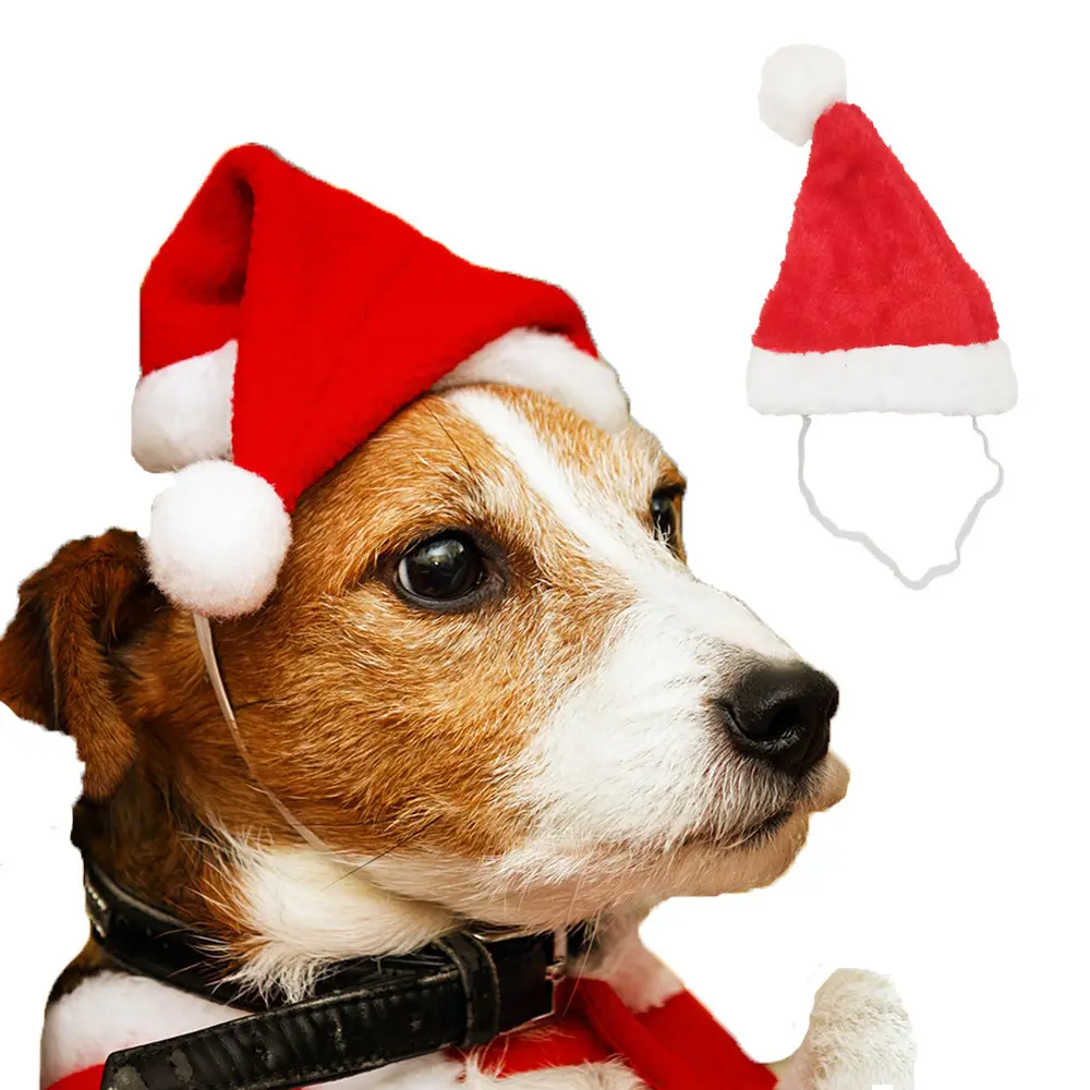 CY Décoration de Noël Chapeau pour animaux de compagnie Chapeau de Père Noël pour chats Chiens Chiot Décoration de Noël Fournitures de fête du Nouvel An Costume pour animaux de compagnie