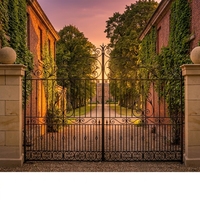 Grill de maison de luxe, design moderne, en fer forgé, porte d'entrée pour jardin