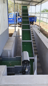 Nouveau convoyeur à fumier automatique incliné CHUANGYI pour cages à poulets cailles en acier allié zinc-aluminium-magnésium - Product Image 5