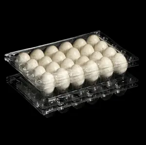 24 Löcher Einweg-Hühnerei-Kartons Transparente klare Eier ablage Farm Eierhalter Clamshell-Verpackungs box