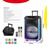 Altavoz Karaoke Portátil con Micrófono Inalámbrico, Subwoofer para Exteriores, Luces LED, Sonido HIFI, Conectividad Bluetooth