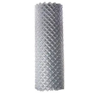 Factory Supply ECO Friendly 6Ft Height Galvanized Chain Link Security Fence Woven Metal Driveway Gates for Farm Use