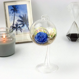 <span class=keywords><strong>Verre</strong></span> <span class=keywords><strong>Suspendue</strong></span> <span class=keywords><strong>Boule</strong></span> Vase Terrarium Conteneur Avec <span class=keywords><strong>Plante</strong></span> Succulente Artificielle Pour La Maison Ou Le Jardin Ornement - Product Image 6