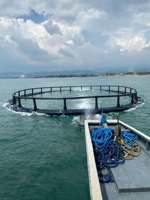Cage à tilapias en HDPE pour le lac Victoria, Ouganda, pour l'aquaculture de la Source du Nil SON