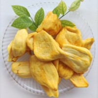 Bulk zoete knapperige gedroogde jackfruit Chinese leverancier groothandel tropische fruitchips