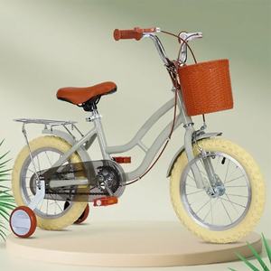 Vélo de princesse pour filles certifié <span class=keywords><strong>CPC</strong></span>, 12-18 pouces, vente en gros OEM ODM, vélo rétro pour enfants avec roues d'apprentissage lumineuses - Product Image 2