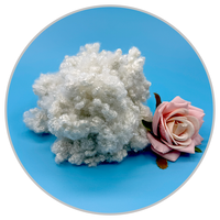 Fibre de polyester recyclée HCS fabriquée à partir de déchets de bouteilles PET, utilisée comme matériau de rembourrage, fibre PET à bas prix