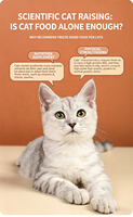Gâteau de poulet lyophilisé à la cataire pour chat – Formule poulet & cataire pour le contrôle des boules de poils et le soutien digestif – Nutritif et délicieux