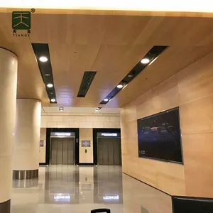 TianGe 공장 뜨거운 판매 천공 알루미늄 클립 친환경 천장 타일 어쿠스틱 패널
