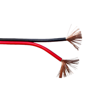 Câble audio pour haut-parleur 2026 en cuivre pur sans oxygène 14AWG, performance sonore haute fidélité, 18AWG, 100m en vrac, faible perte