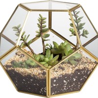 Terrarium en verre polygonal, conteneur paysager pour mousse, pot géométrique pour plantes succulentes, décoration pour la maison et le bureau, cadeau