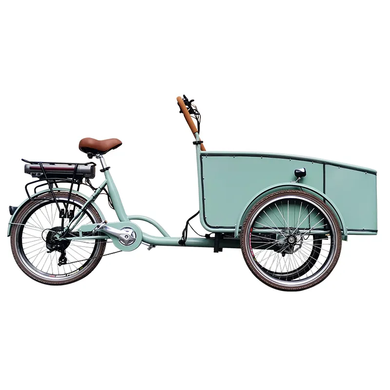 Moto Électrique Motorisée Tricycle Cargo Trike Nouveau Trois Roues Voiture Adulte À La Mode