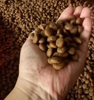 Nouvelle extrudeuse d'aliments aquatiques pour poissons, chiens et chats, machine à granulés flottants pour petits poissons, capacité de 50-1000 kg/h, granulés personnalisables