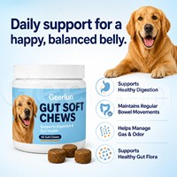 Friandises à mâcher personnalisées ODM pour la santé intestinale des chiens, à base de fibres de citrouille et de postbiotiques, supplément pour la flore digestive et le contrôle des odeurs