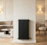 Radiateur en acier pour usage domestique et commercial, à double panneau plat, vertical, mural, radiateur hydronique personnalisé pour hôpital, salle de sport