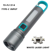 Laser blanc Prix compétitif Torches portables Longue portée Mini lampe de poche rechargeable puissante Chasse Lampe de poche extérieure