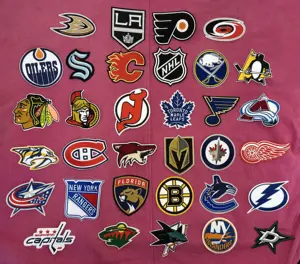 Équipe sportive Logo de broderie populaire fer sur les vêtements appliques patchs de hockey