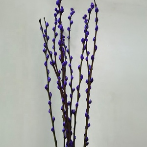 Offre Spéciale coloré préservé salix argyracea fleur véritable naturel préservé de saule pour la décoration du festival - Product Image 5
