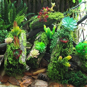 Ornements Créatifs en Plastique Faits à la Main pour Décoration Intérieure et Extérieure, Création de Scènes, Vitrines, Plantes Tropicales de Forêt Tropicale - Product Image 2