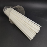 250 pailles PHA biodégradables compostables à domicile non emballées de 7,75 po pour boissons chaudes et froides avec boîte personnalisée