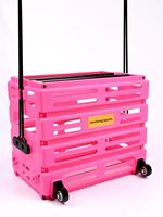 Organisateur d'accessoires de pickleball portable en PP durable, support pour balles de tennis et de pickleball, équipement ODM OEM, couleur et taille personnalisables