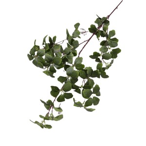 Feuilles de Guanyin artificielles 30cm-100cm, branche en plastique, décoration intérieure, arrangement floral pour mariage - Product Image 5