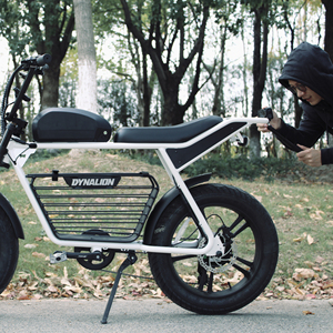 Cadre de vélo électrique longue portée, vitesse rapide, vélo électrique, pneu large, <span class=keywords><strong>moto</strong></span> Ebike, prix bas - Product Image 4